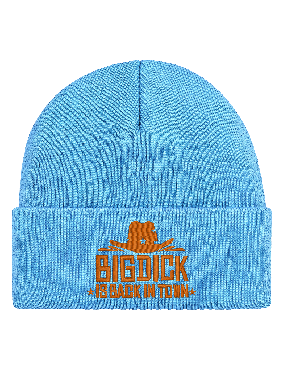 BDIBIT FRONT HCB-BBL-BDIBIT | Big Dick Is Back In Town – Baby Blue Hatitude Cuffed Beanie | 8.5x6cm | Fast mössmall