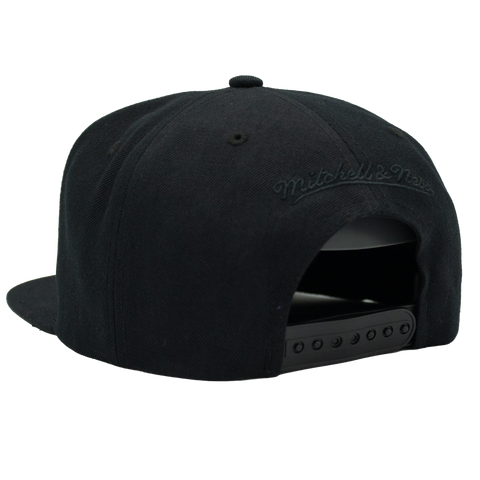 Whiskey River svart Mitchell & Ness snapback bakfra